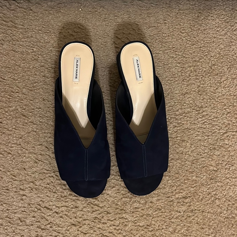Alex Marie Navy Wedged Mules